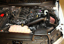 Load image into Gallery viewer, K&N 2015 Ford F-150 5.0L V8 Performance Intake Kit
