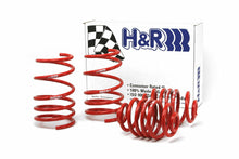 Load image into Gallery viewer, H&R 92-98 BMW 325i/325is/328i/328is E36 Race Spring (After 6/22/92 & Non Cabrio)
