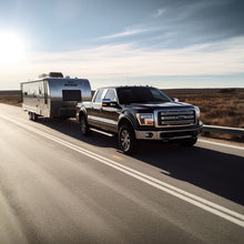 Load image into Gallery viewer, BD Diesel 08-10 Ford F-250/F-350 6.4L Venom Fuel Lift Pump w/ Filter & Separator