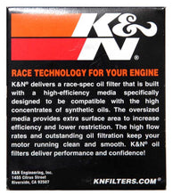 Load image into Gallery viewer, K&N BMW 3.031in OD x 3.531in H Oil Filter