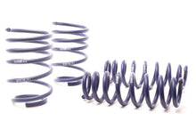 Load image into Gallery viewer, H&R 07-11 BMW 328i Sedan/335i Sedan E90 Race Spring