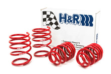 Load image into Gallery viewer, H&R 01-06 BMW 325Ci Cabrio/330Ci Cabrio E46 Race Spring (w/Sport Suspension)