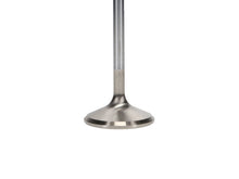 Load image into Gallery viewer, Manley Ford 4.6L 38.5mm Race Master & Extreme Duty Exhaust Valves *Set of 8*