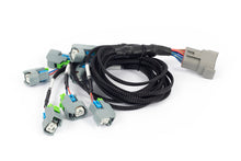 Load image into Gallery viewer, Haltech NEXUS Rebel LS EV6 Injector Sub-Harness (Plug-n-Play w/HT-186500)
