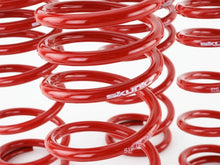 Load image into Gallery viewer, Skunk2 00-04 Honda S2000 Lowering Springs (2.00in. - 1.80in.) (Set of 4)
