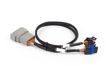 Load image into Gallery viewer, Haltech NEXUS Rebel LS Cable Throttle &amp; IAC Sub-Harness (Plug-n-Play w/HT-186500)

