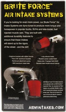 Load image into Gallery viewer, AEM 3 inch x 8 inch DryFlow Air Filter
