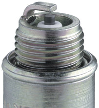 Load image into Gallery viewer, NGK Pro-V Spark Plug Box of 6 (BMR7A SOLID BLYB)
