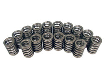 Load image into Gallery viewer, COMP Cams Valve Springs 1.250in Ovate Wi
