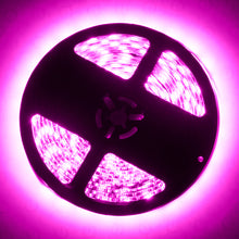 Load image into Gallery viewer, Oracle Interior Flex LED Spool - Pink
