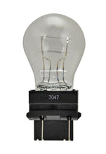 Load image into Gallery viewer, Hella Bulb 3047 12V 21/7W W2.5X16q S8
