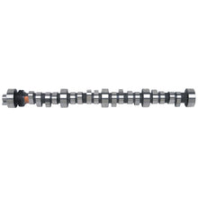 Load image into Gallery viewer, Edelbrock SBF Hydraulic Roller Cam
