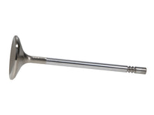 Load image into Gallery viewer, Manley Ford 4.6L 38.5mm Race Master &amp; Extreme Duty Exhaust Valves *Set of 8*
