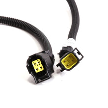 Load image into Gallery viewer, BBK 05-20 Dodge 6.1L/6.2L/6.4L Rear O2 Sensor Extensions 4 Pin Square Style 24in (pair)
