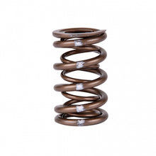 Load image into Gallery viewer, Skunk2 Pro Series Honda/Acura K-Series i-VTEC XP Valve Spring Set (Dual Springs)
