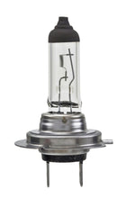 Load image into Gallery viewer, Hella Bulb H7 12V 55W PX26d T4.6 LONGLIFE
