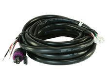 Load image into Gallery viewer, AEM Replacement Main Harness for X-Series Pressure Gauges
