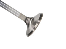 Load image into Gallery viewer, Manley Chrysler Hemi 6.1L w/ Triple Groove 1.625in Race Master Exhaust Valves (Set of 8)
