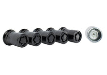 Load image into Gallery viewer, Ford Racing 2023+ Ford Bronco Raptor  M14 x 1.5 Black Security Lug Nut Kit - Set of 5
