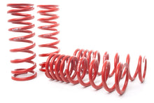 Load image into Gallery viewer, H&amp;R 06-12 Ferrari 599 GTB F141 Sport Spring
