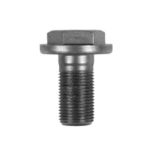 Load image into Gallery viewer, Yukon Gear 07+ Tundra &amp; Sequoia Front Ring Gear Bolt
