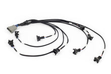 Load image into Gallery viewer, Haltech NEXUS Rebel LS EV1 Injector Sub-Harness (Plug-n-Play w/HT-186500)
