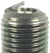 Load image into Gallery viewer, NGK Racing Spark Plug Box of 4 (R0406A-9)
