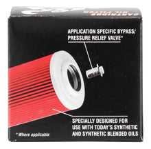 Load image into Gallery viewer, K&amp;N Oil Filter r, Powersports
