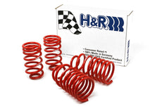 Load image into Gallery viewer, H&amp;R 96-98 Volkswagen Golf/Jetta 8V MK3 Race Spring (After 7/1/96)
