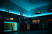 Load image into Gallery viewer, Oracle Exterior Black Flex LED 12in Strip - RGB ColorSHIFT
