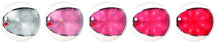 Load image into Gallery viewer, Hella Interior Lamp Euroled130T Red/Wht 2Ja
