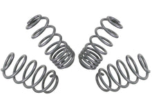 Load image into Gallery viewer, Whiteline 04-08 VW Golf Mk5 2.0 GTI Performance Lowering Springs
