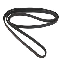 Load image into Gallery viewer, Omix Serpentine Belt 2.4L 02-06 Liberty and Wrangler
