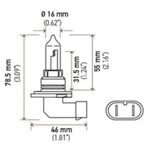 Load image into Gallery viewer, Hella 9005 12V 65W Xen White Bulb (Pair)

