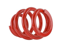 Load image into Gallery viewer, Skunk2 Universal Race Spring (Elliptical) - 6 in.L - 2.5 in.ID - 14kg/mm (0600.250.014E)
