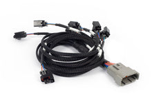 Load image into Gallery viewer, Haltech NEXUS Rebel LS Multec 2 Injector Sub-Harness (Plug-n-Play w/HT-186500)
