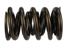 Load image into Gallery viewer, Ford Racing  Replacement Hydraulic Roller Valve Spring - Single (For M-6049-SCJA)
