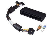 Load image into Gallery viewer, Haltech Mazda Miata NA 1.6/1.8 w/2 Plug 2 Row ECU Elite 750 Plug-n-Play Adaptor Harness
