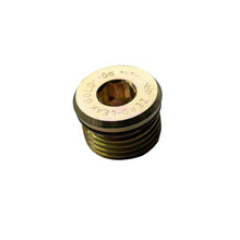 Load image into Gallery viewer, BD Diesel  Drain Plug for Deep Transmission Part 1061716
