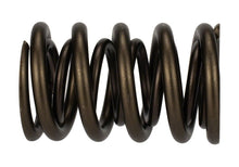 Load image into Gallery viewer, Ford Racing  Replacement Hydraulic Roller Valve Spring - Single (For M-6049-SCJA)
