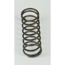 Load image into Gallery viewer, BD Diesel Flow-MaX Pump Pressure Spring - 18psi
