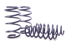 Load image into Gallery viewer, H&amp;R 11-17 BMW X3 F25 Sport Spring
