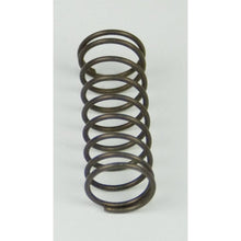 Load image into Gallery viewer, BD Diesel Flow-MaX Pump Pressure Spring - 18psi
