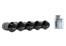 Load image into Gallery viewer, Ford Racing 2023+ Ford Bronco Raptor  M14 x 1.5 Black Security Lug Nut Kit - Set of 5

