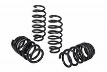 Load image into Gallery viewer, Eibach Pro-Kit for 17-19 Tesla 3 Long Range (AWD)
