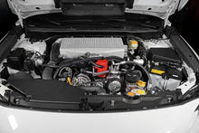 Load image into Gallery viewer, Perrin 22-23 Subaru WRX Air Oil Separator - Red
