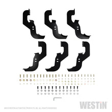 Load image into Gallery viewer, Westin 2019 Chevrolet Silverado/Sierra 1500 Crew Cab Non LD PRO TRAXX 4 Oval Nerf Step Bars - Black
