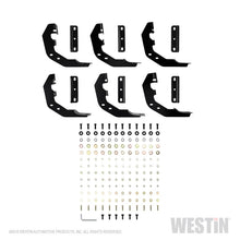 Load image into Gallery viewer, Westin 19-22 RAM 1500 Quad Cab (Excl. Classic) PRO TRAXX 6 Oval Nerf Step Bars - SS
