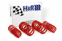 Load image into Gallery viewer, H&amp;R 96-01 Audi A4 Quattro (AWD) B5 Race Spring
