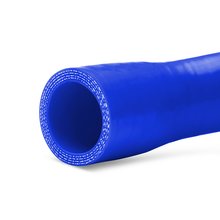 Load image into Gallery viewer, Mishimoto 2014+ Ford Fiesta ST Radiator Hose Kit (Blue)
